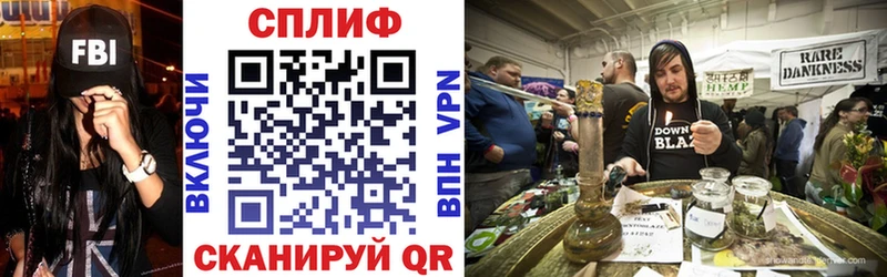 ГАШ Гороховец