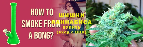 ГАЛЛЮЦИНОГЕННЫЕ ГРИБЫ Белокуриха