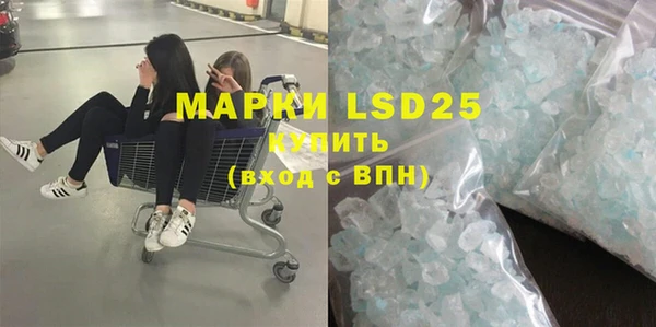 ГАЛЛЮЦИНОГЕННЫЕ ГРИБЫ Белокуриха