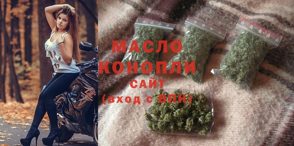 индика Беломорск