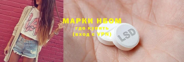 индика Беломорск