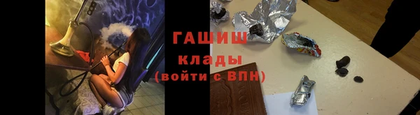 индика Беломорск