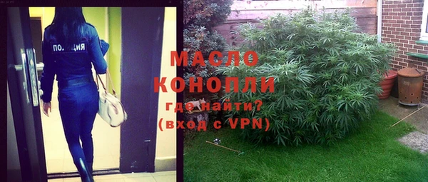 индика Беломорск