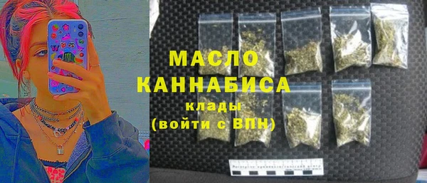 индика Беломорск