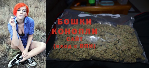 ГАЛЛЮЦИНОГЕННЫЕ ГРИБЫ Белокуриха