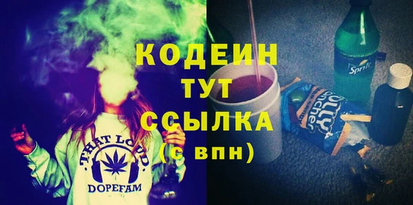 индика Беломорск