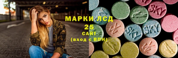 индика Беломорск