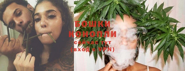 индика Беломорск