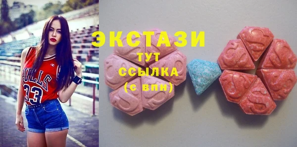индика Беломорск