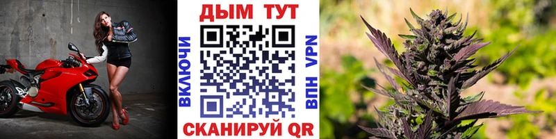 МАРИХУАНА ГИДРОПОН Гороховец